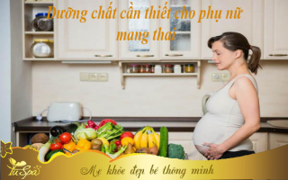 Những dưỡng chất rất cần thiết cho mẹ bầu