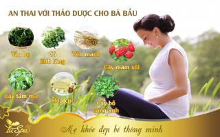 Thảo dược giúp mẹ bầu an thai